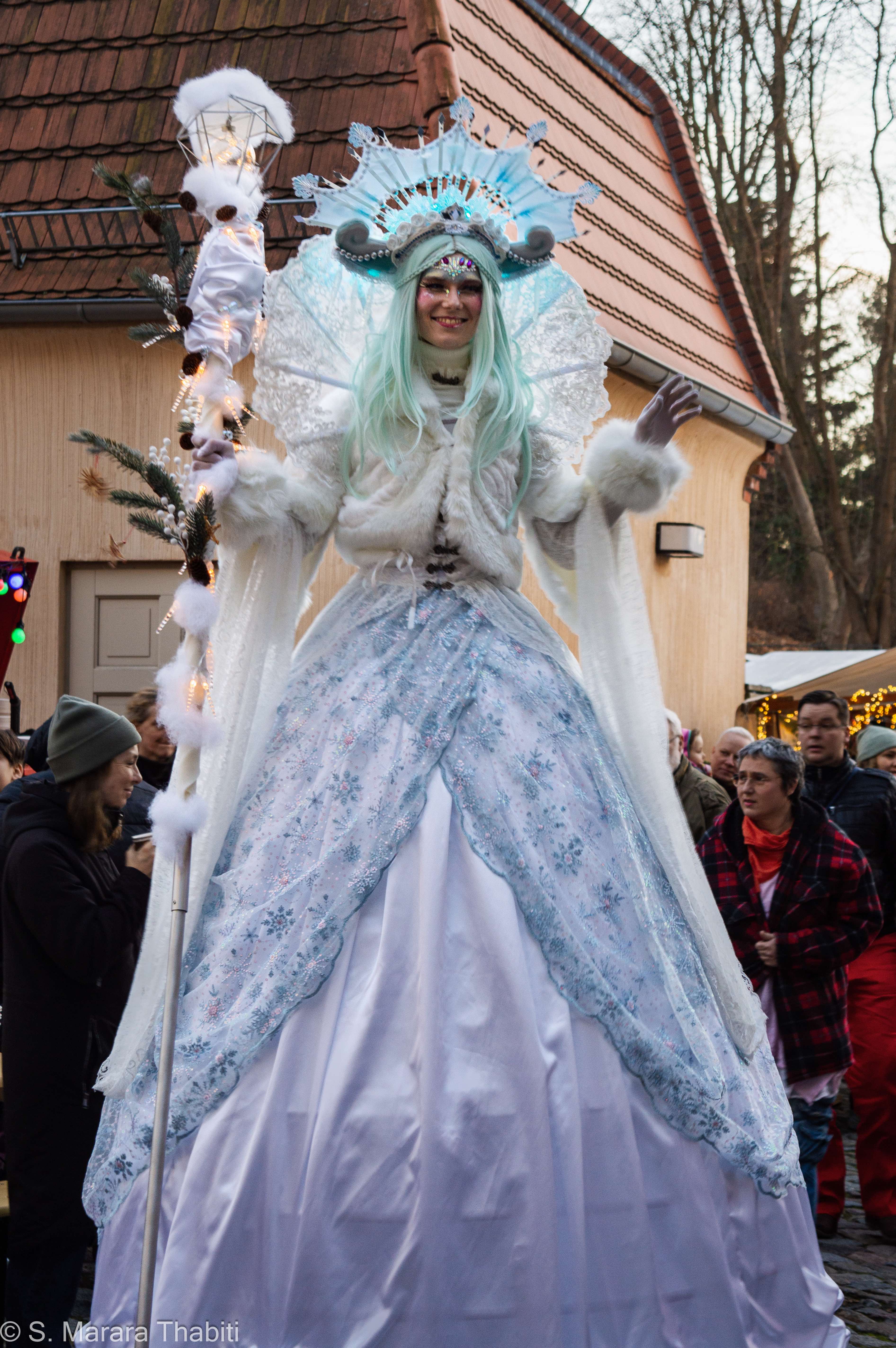 Schneekoenigin Ganzkoerper